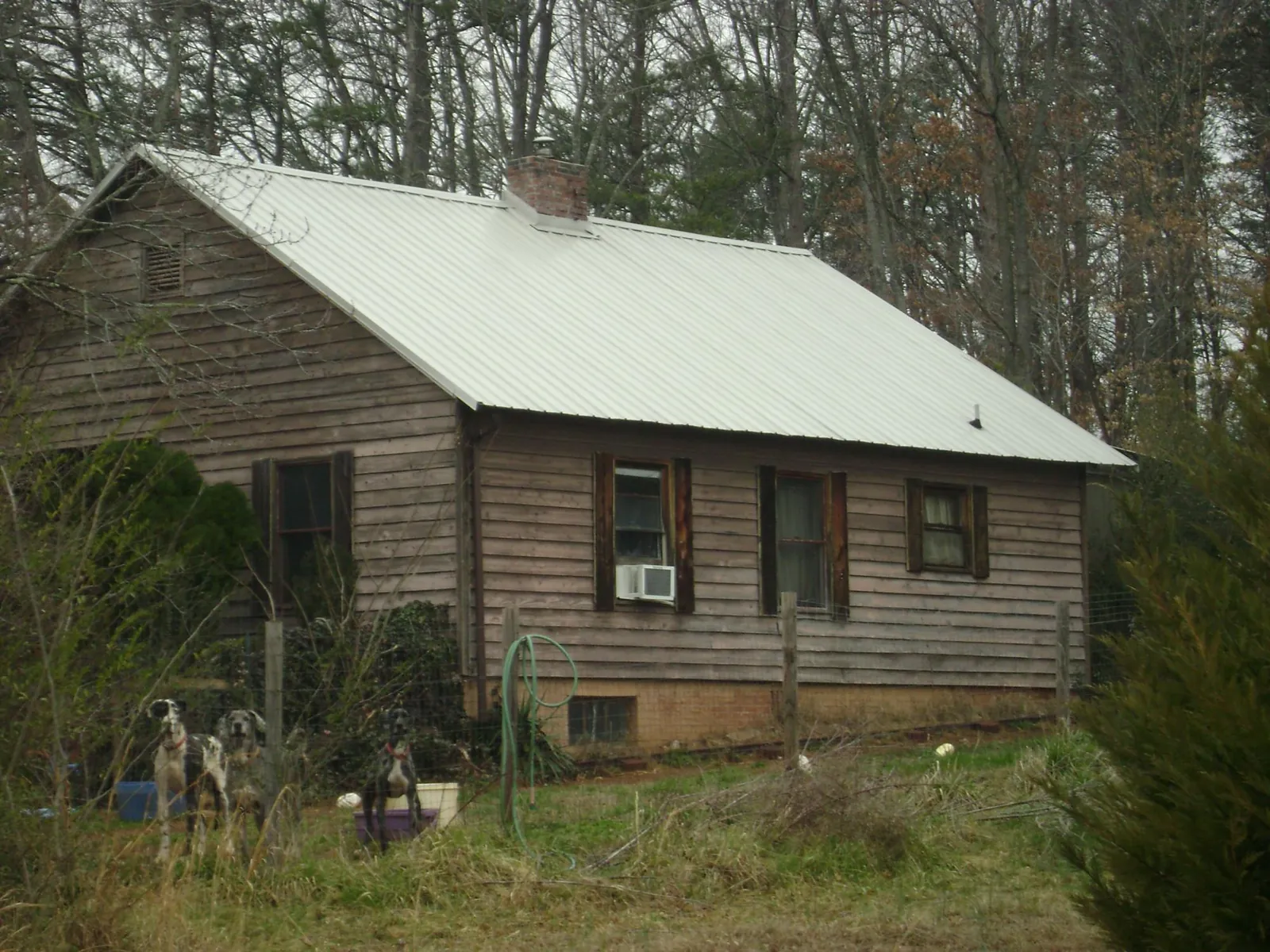 White metal roof on an old wood sided farmhouse, from a Asphalt Shingle Roof Repair job in Gable